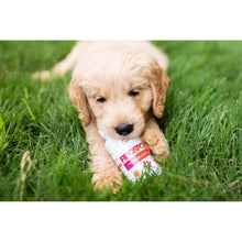 Load image into Gallery viewer, MicroBiome Labs - Fidospore™ - 30 capsules