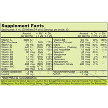 Load image into Gallery viewer, Systemic Formulas: #520 - FUN PLAY - MULTI-VITAMIN & MINERAL LIQUID