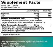 Load image into Gallery viewer, AV Gut Enhancer