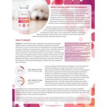 Load image into Gallery viewer, MicroBiome Labs - Fidospore™ - 30 capsules