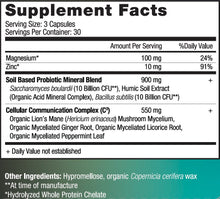 Load image into Gallery viewer, Gut Enhancer