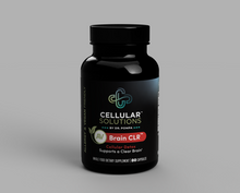 Load image into Gallery viewer, AV Brain CLR