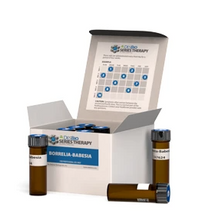 Load image into Gallery viewer, BOBA: SSR Series Therapy Kit formerly Borrelia-Babesia Series Therapy Kit