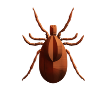 Load image into Gallery viewer, Tickborne Diseases Test (Vibrant-America)
