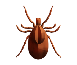 Tickborne Diseases Test (Vibrant-America)