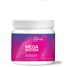 Load image into Gallery viewer, MegaMucosa - Berry Açaí Powder
