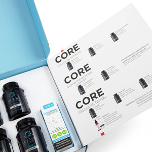 Core Brain Kit