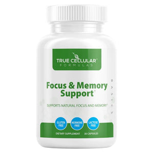 Focus and Memory Support