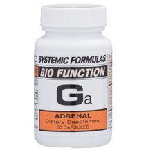 Load image into Gallery viewer, Systemic Formulas: #31 - Ga - ADRENAL
