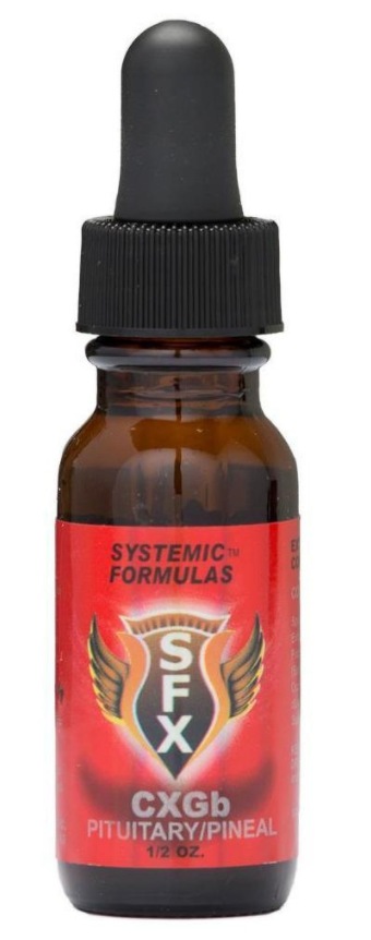 Systemic Formulas: CXGb - PITUITARY/PINEAL