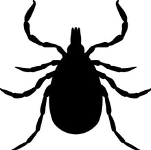 Load image into Gallery viewer, Lyme + TBRF Test  (Vibrant-America)
